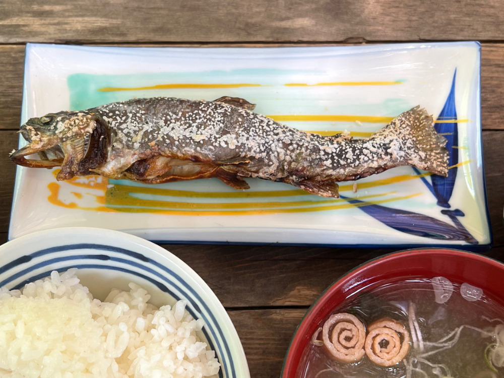 魚の画像