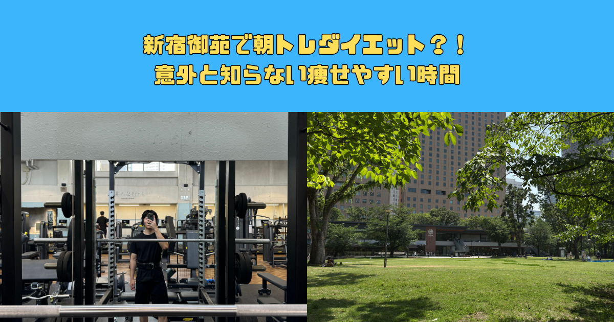 朝トレダイエット？！意外と知らない痩せやすい時間