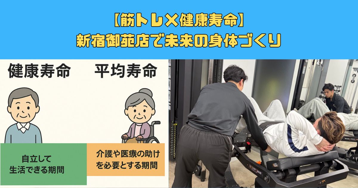 【トレーニング×健康寿命】新宿御苑店で未来の体づくり
