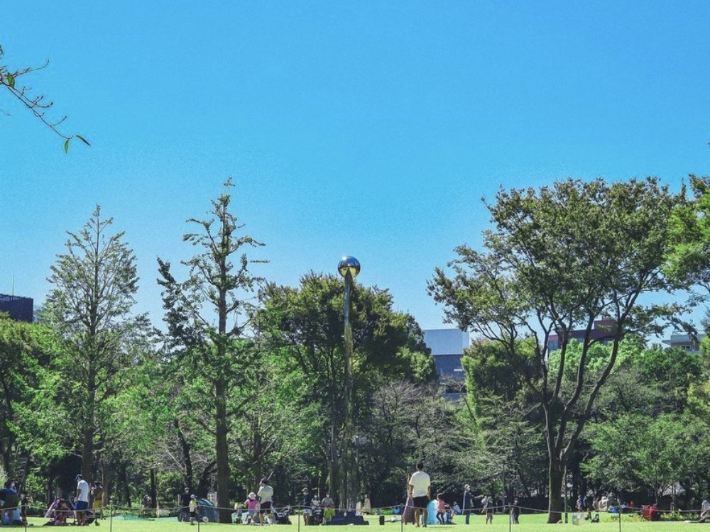 新宿の公園の写真