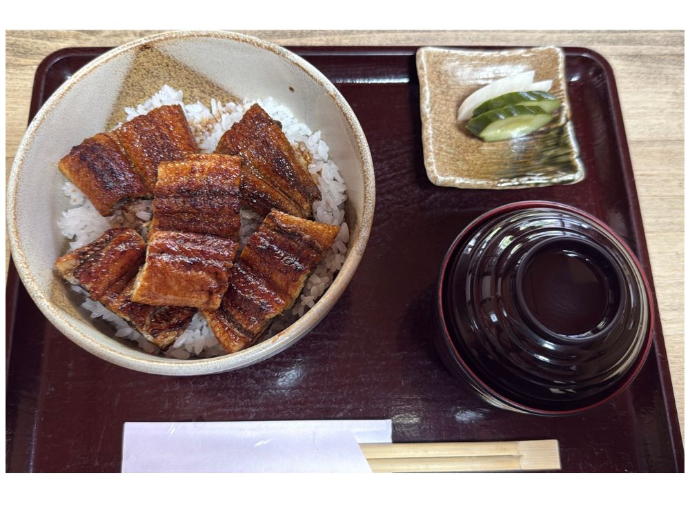 定食
