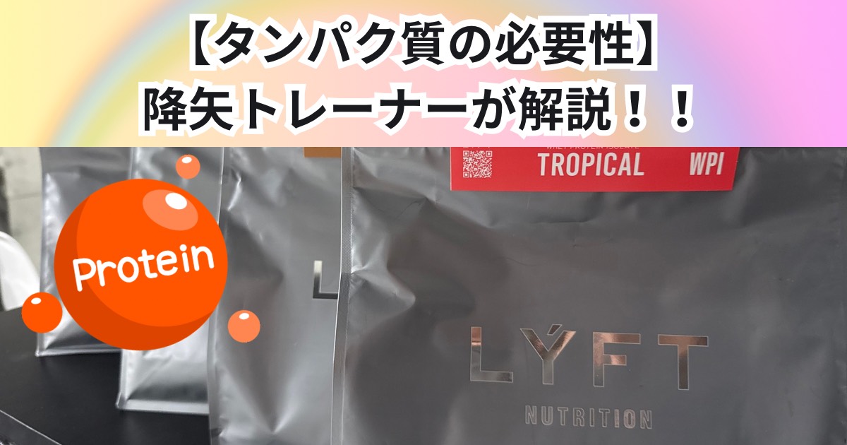 【プロテインはなぜ存在する？】降矢が教えます📖