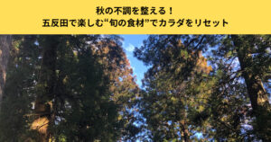 秋の不調を整える！五反田で楽しむ“旬の食材”でカラダをリセット