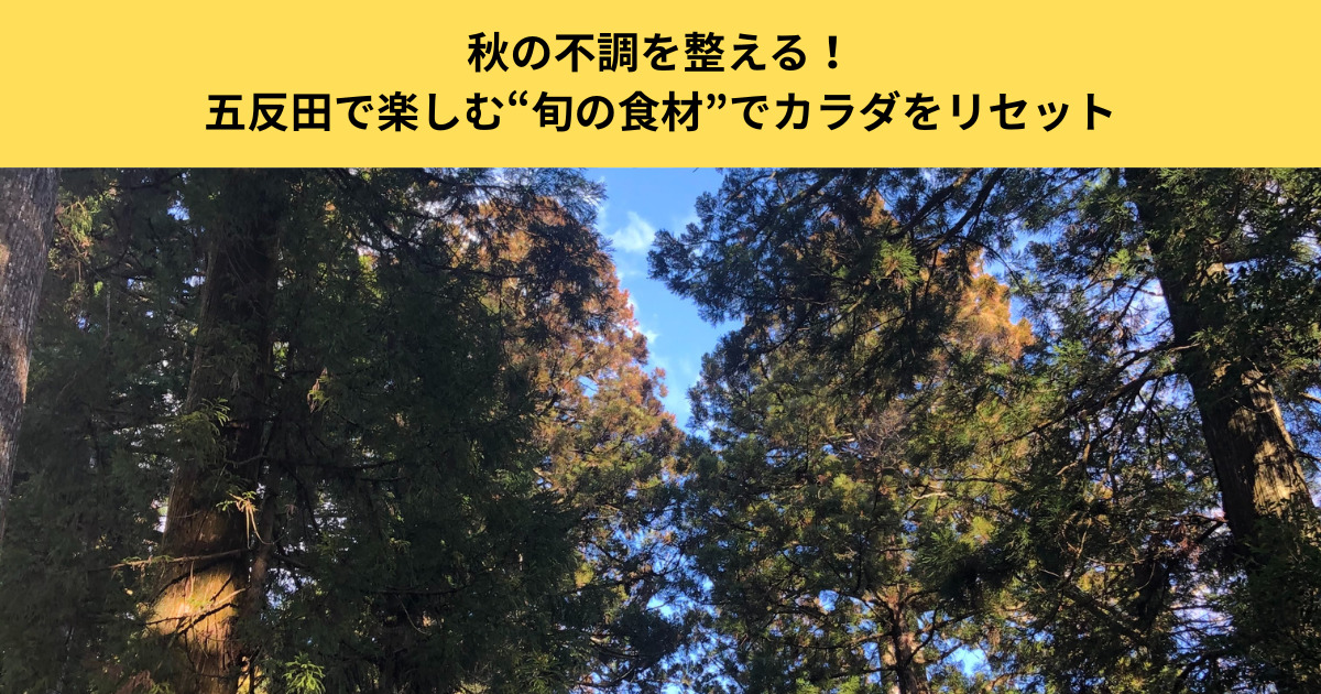 秋の不調を整える！五反田で楽しむ“旬の食材”でカラダをリセット