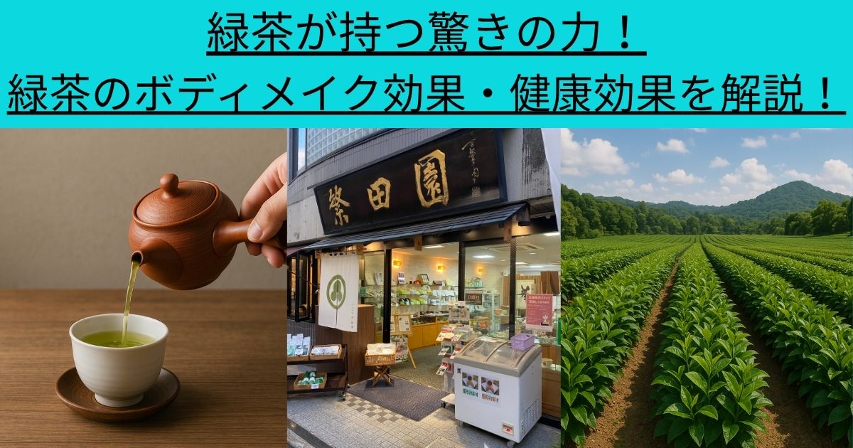 緑茶が持つ驚きの力！緑茶のボディメイク効果・健康効果を解説！