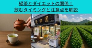 緑茶とダイエットの関係！飲むタイミングと注意点を解説