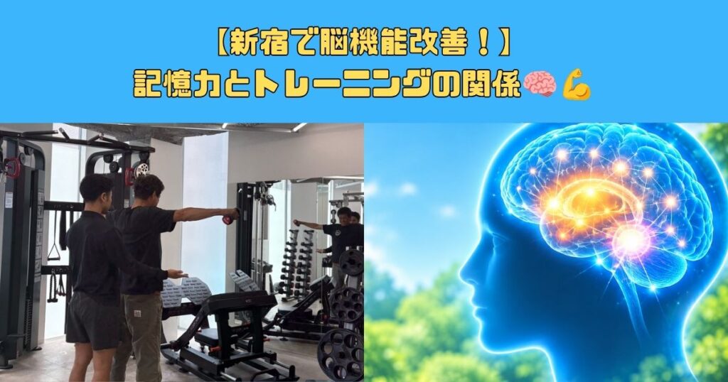 【新宿で脳機能改善！】記憶力とトレーニングの関係🧠💪