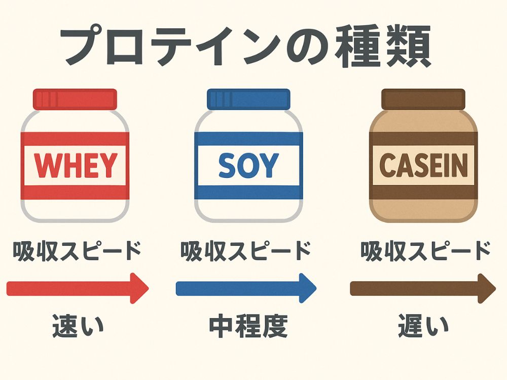 プロテイン種類別比較写真