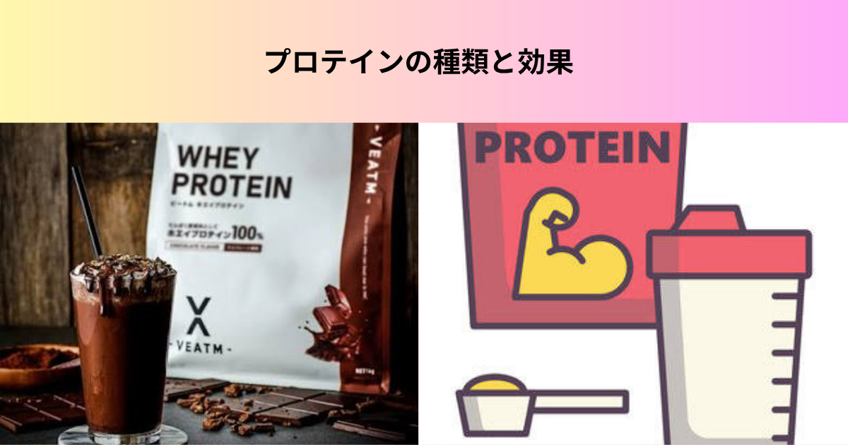 THE PERSONAL GYM 名東高針店トレーナーがお伝えするプロテインの種類とその効果をお伝えします！