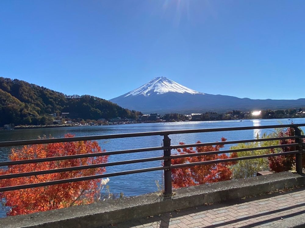 本文画像