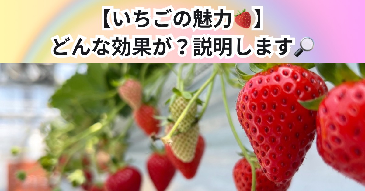 【いちごの魅力🍓】どんな効果が？降矢が説明します！