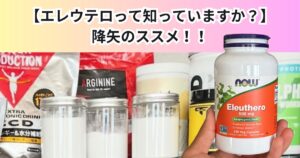 エレウテロとは？自然の力でストレスと疲労に強くなる秘訣