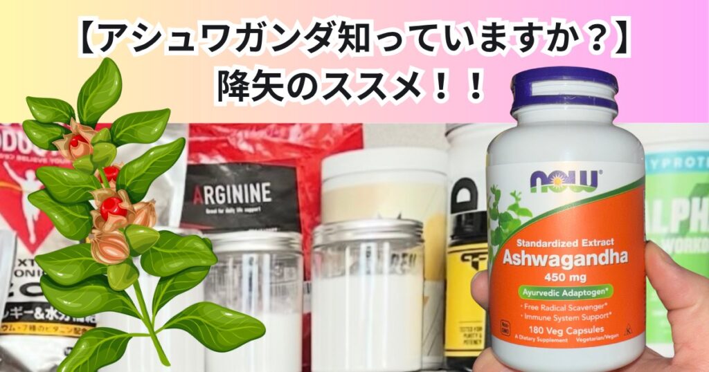 アシュワガンダとは？現代人こそ必要「心の回復ハーブ」の魅力