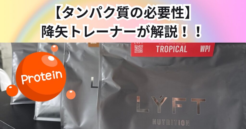 【タンパク質の必要性】中野店トレーナーが解説！！