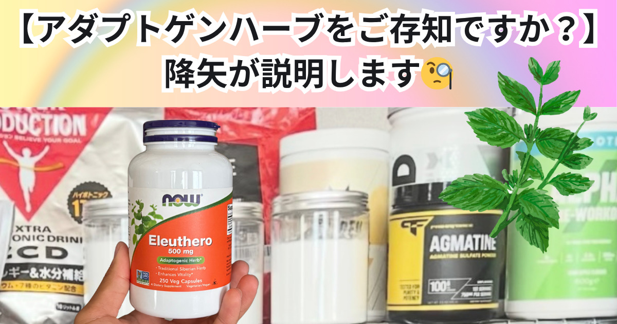 【アダプトゲンハーブをご存知ですか？】降矢が説明します🧐