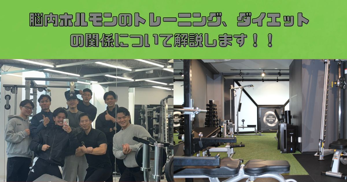 脳内ホルモンとトレーニング、ダイエットの関係についてTHE PERSONAL GYM錦糸町店トレーナー　白石が解説！！