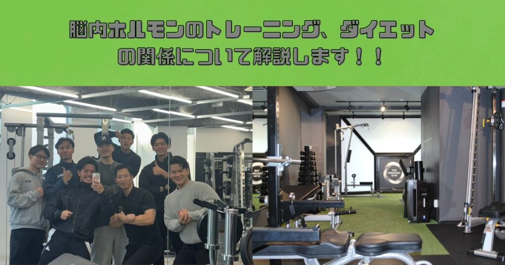 脳内ホルモンとトレーニング、ダイエットの関係についてTHE PERSONAL GYM錦糸町店トレーナー　白石が解説！！