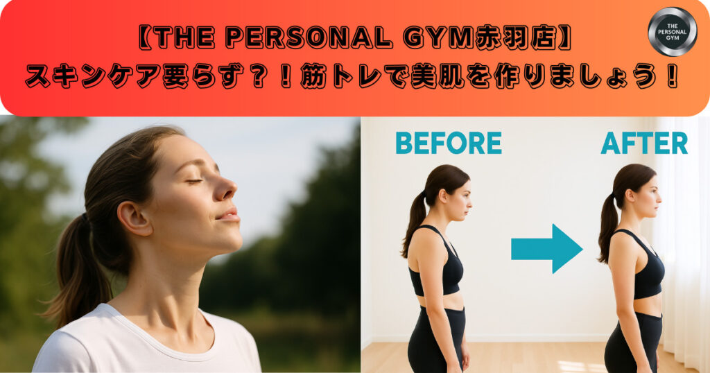【赤羽駅から歩いて通えるパーソナルジム】美肌は筋トレで作れる！トレーナーが解説します！