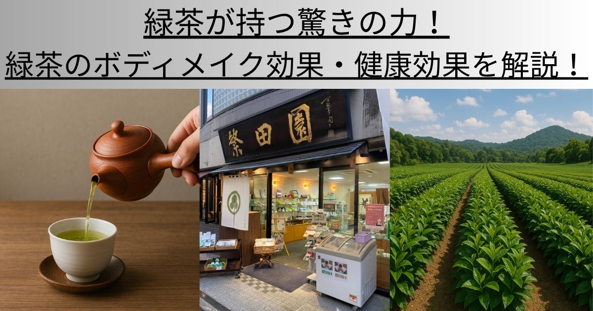 緑茶が持つ驚きの力！緑茶のボディメイク効果・健康効果を解説！