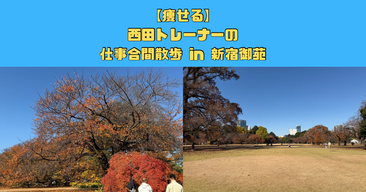 【痩せる】西田トレーナーの仕事合間散歩 in 新宿御苑