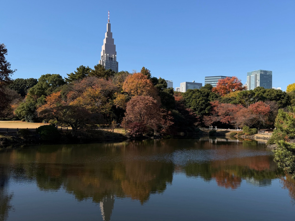 新宿御苑の写真