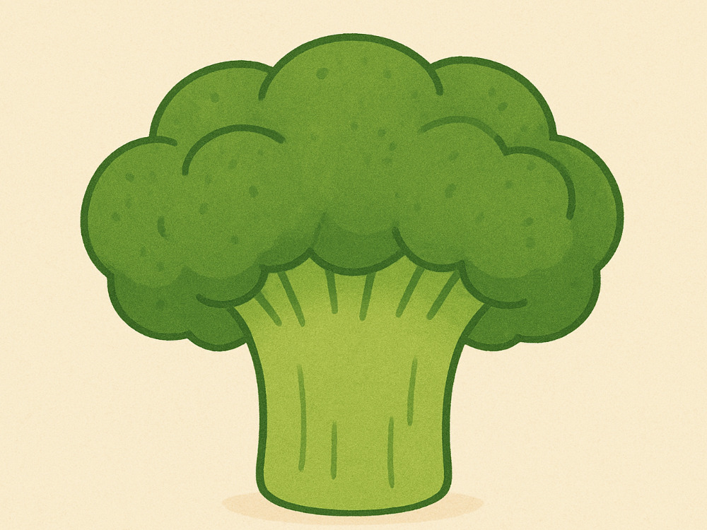 ブロッコリーの画像