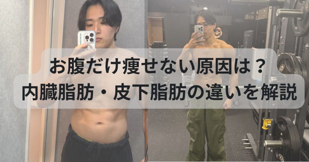 お腹だけ痩せない原因は？内臓脂肪・皮下脂肪の違いを解説