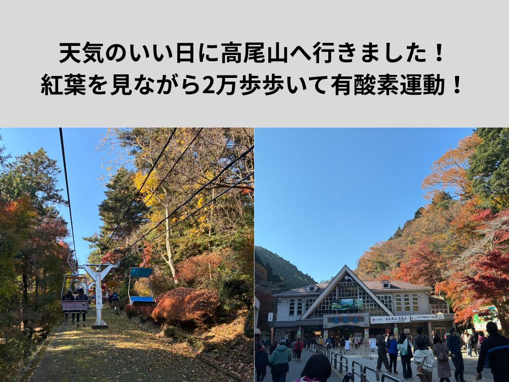 天気のいい日に高尾山へ！紅葉を見ながら2万歩！ダイエットをしているの方の休日におすすめ！