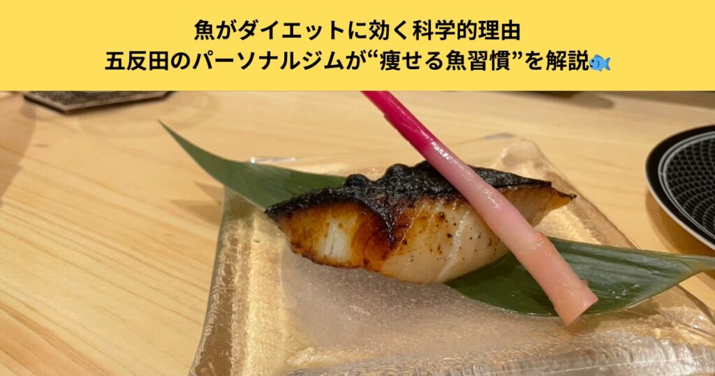 魚がダイエットに効く科学的理由｜五反田のパーソナルジムが“痩せる魚習慣”を解説🐟