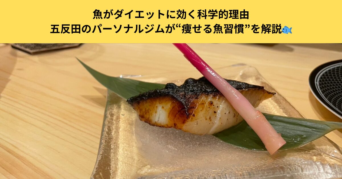 魚がダイエットに効く科学的理由｜五反田のパーソナルジムが“痩せる魚習慣”を解説🐟