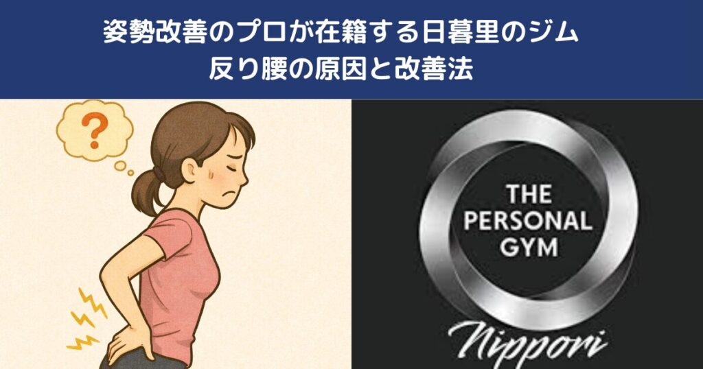 姿勢改善プロが在籍する日暮里のジム 反り腰の原因と改善法