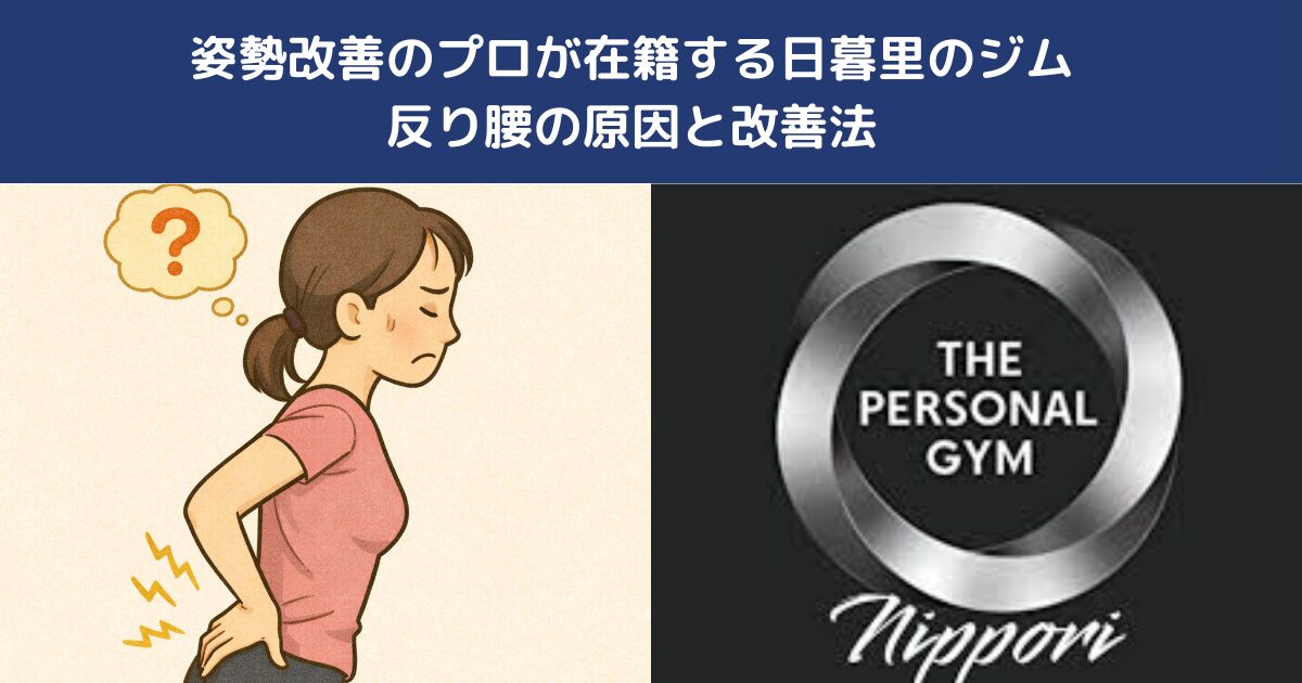 姿勢改善プロが在籍する日暮里のジム 反り腰の原因と改善法