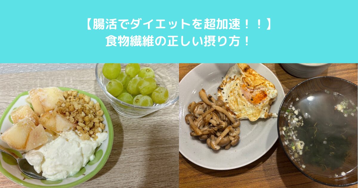【腸活でダイエットが超加速！！】THE PERSONAL GYM高田馬場店が教える正しい食物繊維の摂り方！！