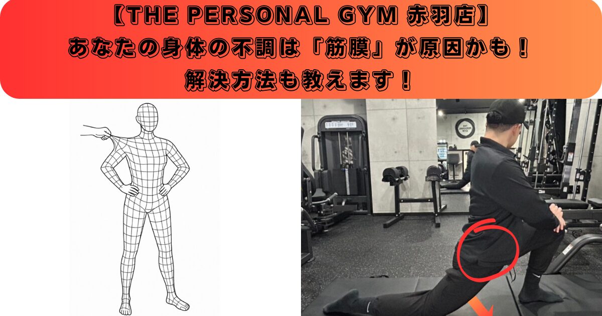【赤羽で姿勢矯正もできるパーソナルジム】あなたの身体の不調は‘‘筋膜‘‘が原因かも！