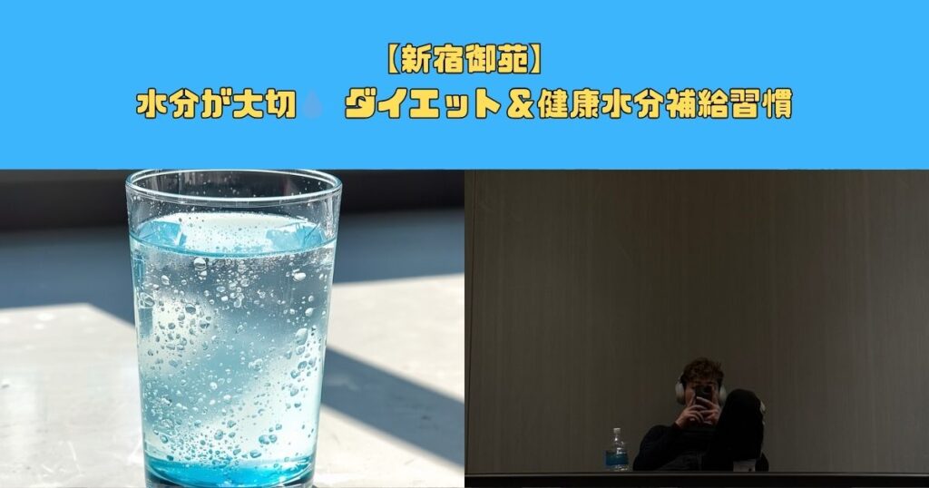 寒い季節こそ水分が大切💧 ダイエット＆健康水分補給習慣