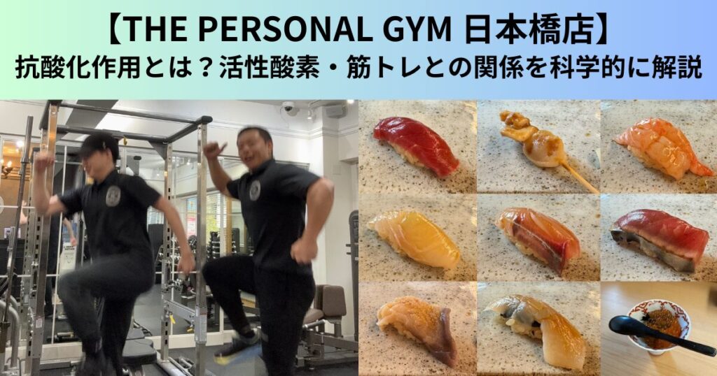 【THE PERSONAL GYM（ザ パーソナルジム）日本橋店】抗酸化作用とは？活性酸素・筋トレとの関係を科学的に解説
