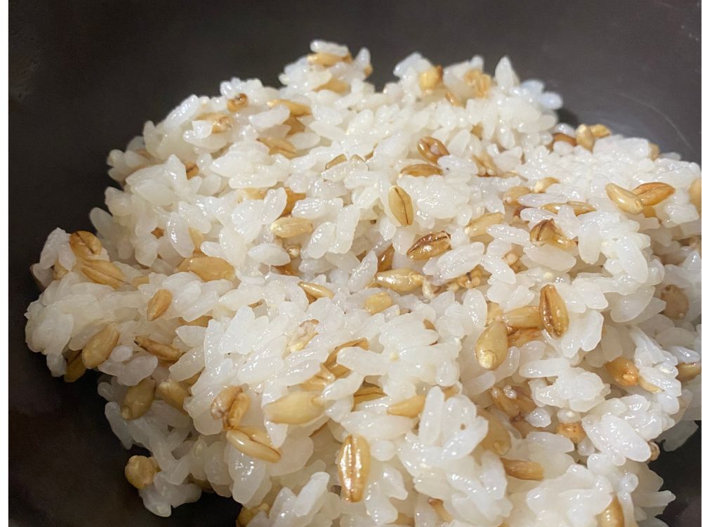 ご飯の画像