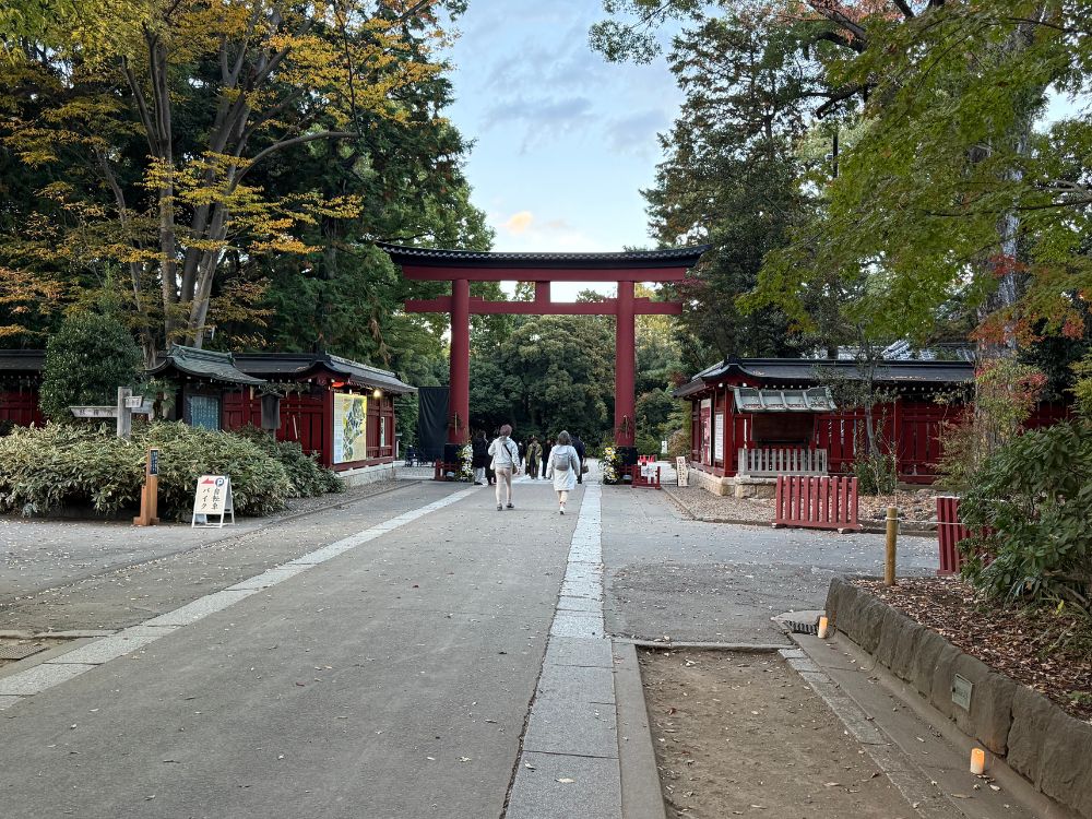 ブログ用氷川神社の写真
