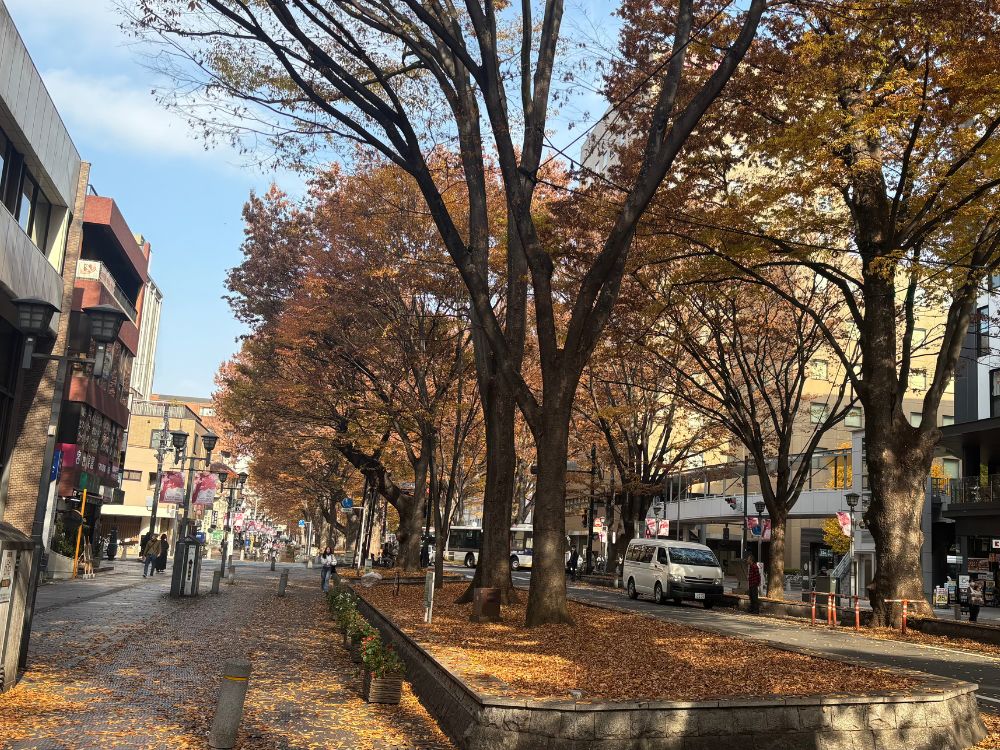 府中並木通り写真