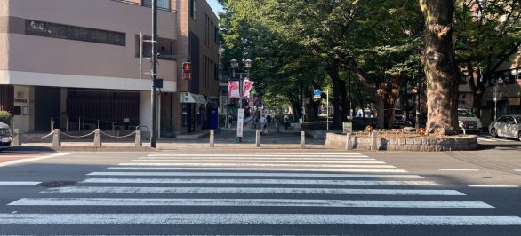 甲州街道の信号を渡ります。