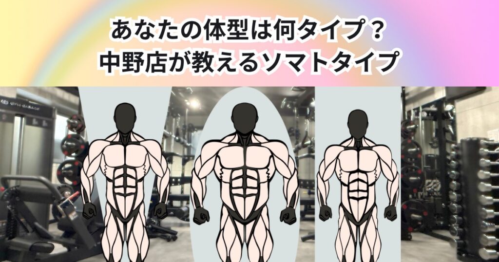 あなたの体型は何タイプ？THE PERSONAL GYM中野店が教えるソマトタイプ別トレーニング戦略！