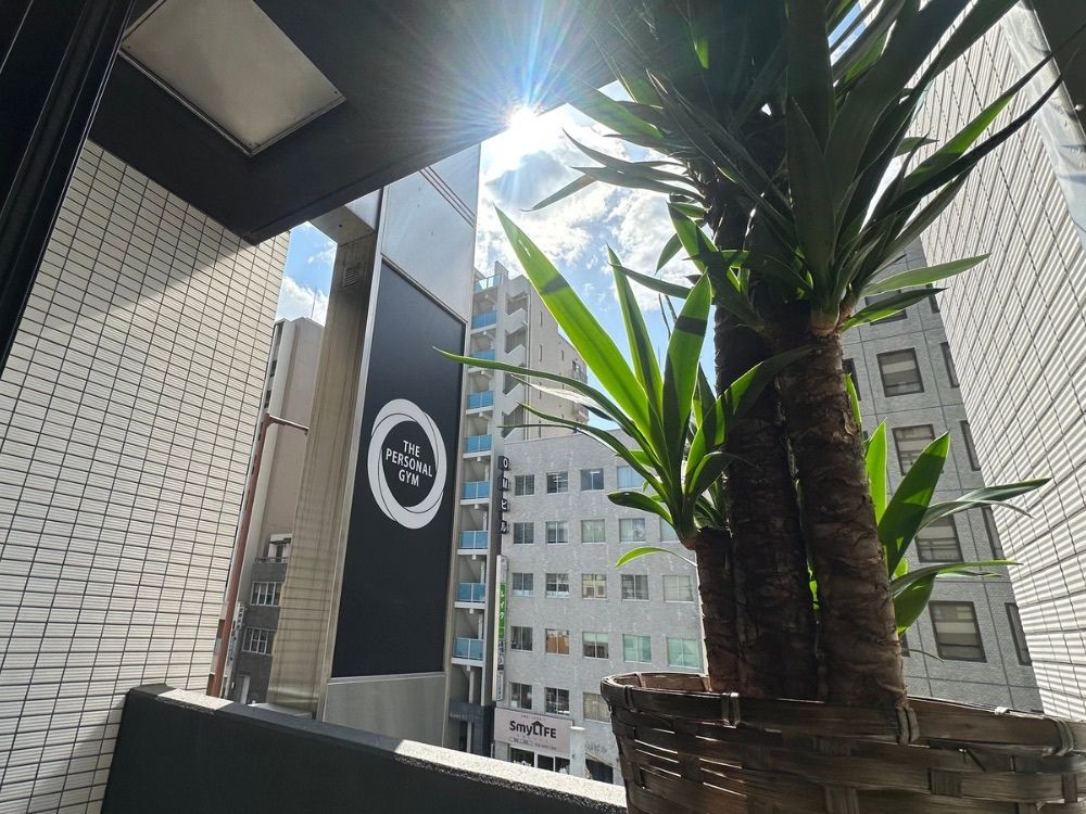 天六店と観葉植物