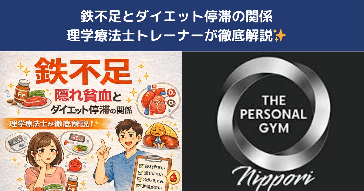 鉄不足とダイエット停滞の関係｜女性に多い「隠れ貧血」を理学療法士が解説【THE PERSONAL GYM日暮里店】