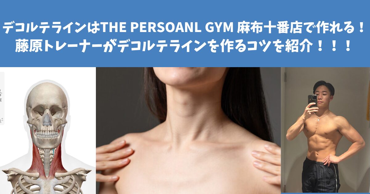 綺麗なデコルテラインはTHE PERSOANL GYM 麻布十番店で作れる！デコルテラインを作るコツを紹介！！！