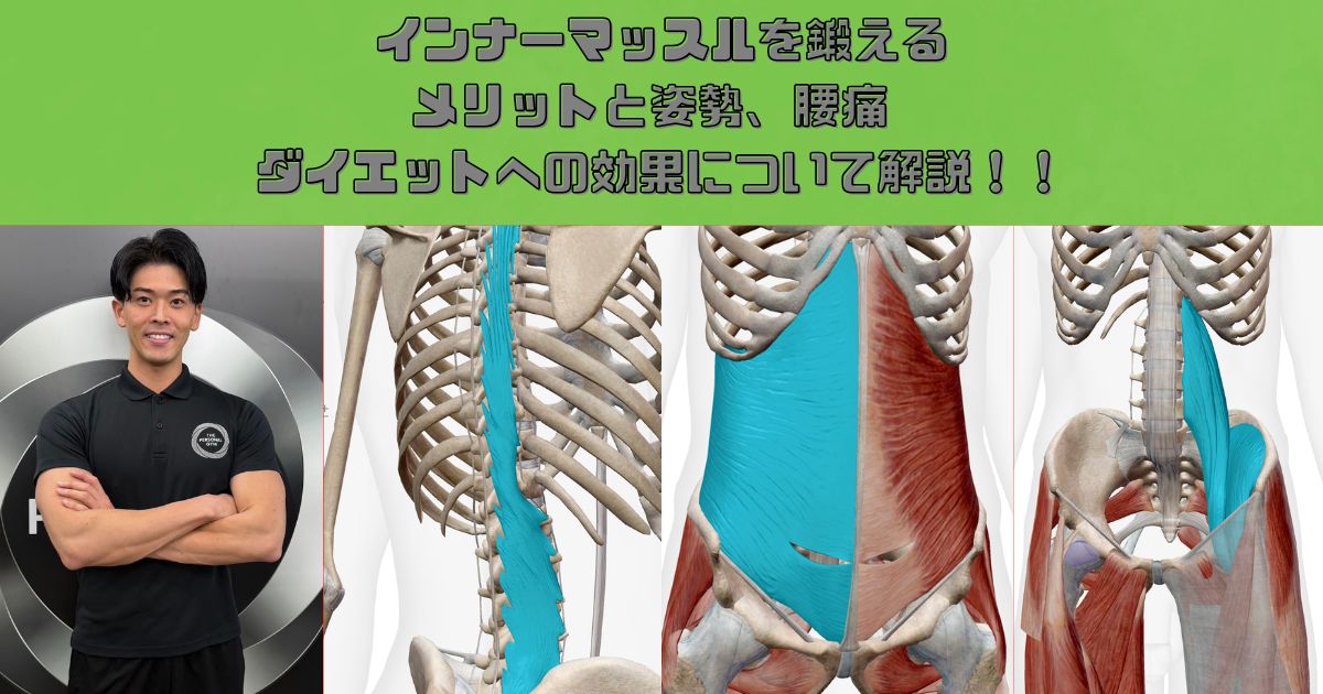 インナーマッスルを鍛えるメリットと姿勢、腰痛、ダイエットへの効果について解説します！！