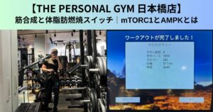 【THE PERSONAL GYM（ザ パーソナルジム）日本橋店】筋合成と体脂肪燃焼スイッチ｜mTORC1とAMPKとは