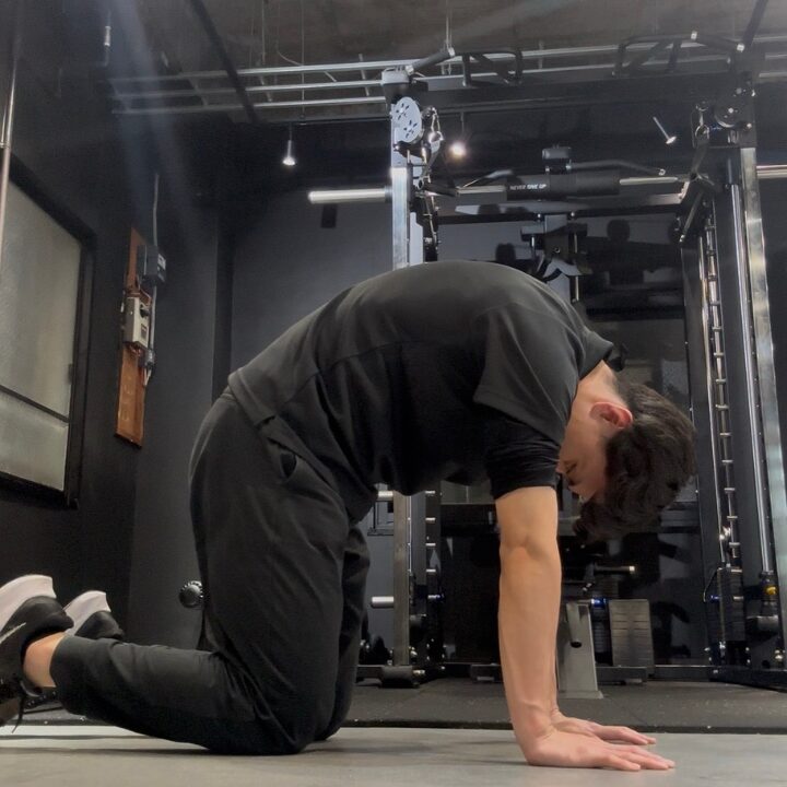 キャット＆ドッグ