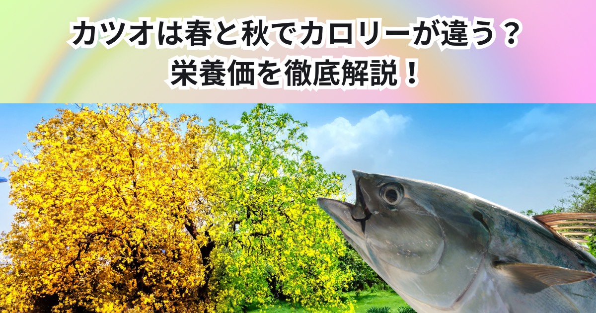 カツオは春と秋でカロリーが違う？？知らなかった人は必見！中野店 降矢トレーナーが栄養価の違いを徹底解説🧐‼