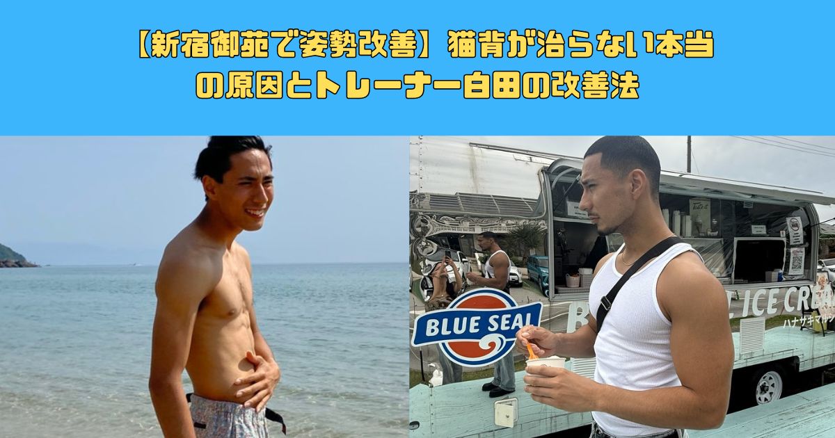 【新宿御苑で姿勢改善】猫背が治らない本当の原因とトレーナー白田の改善法