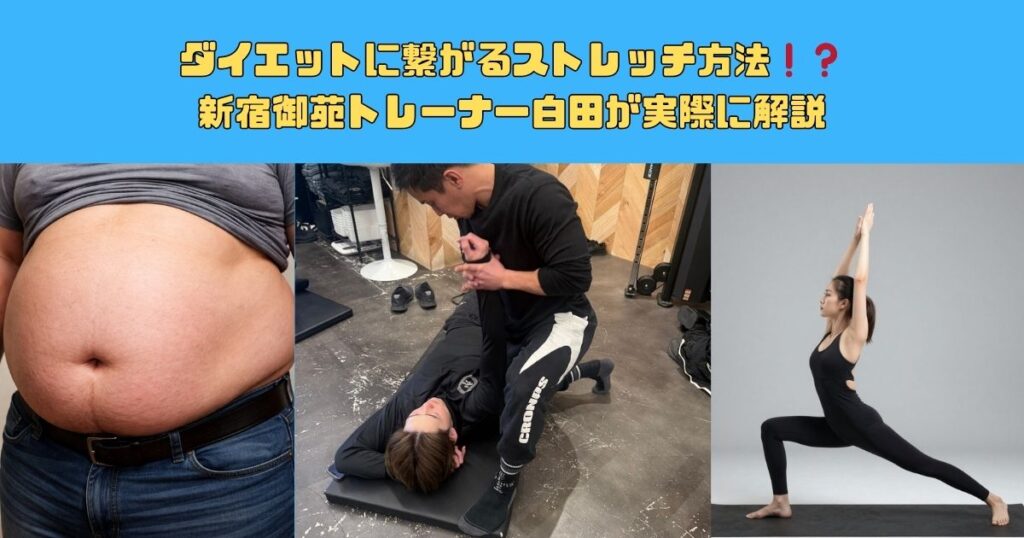 ダイエットに繋がるストレッチ方法❗️❓ 新宿御苑トレーナー白田が実際に解説